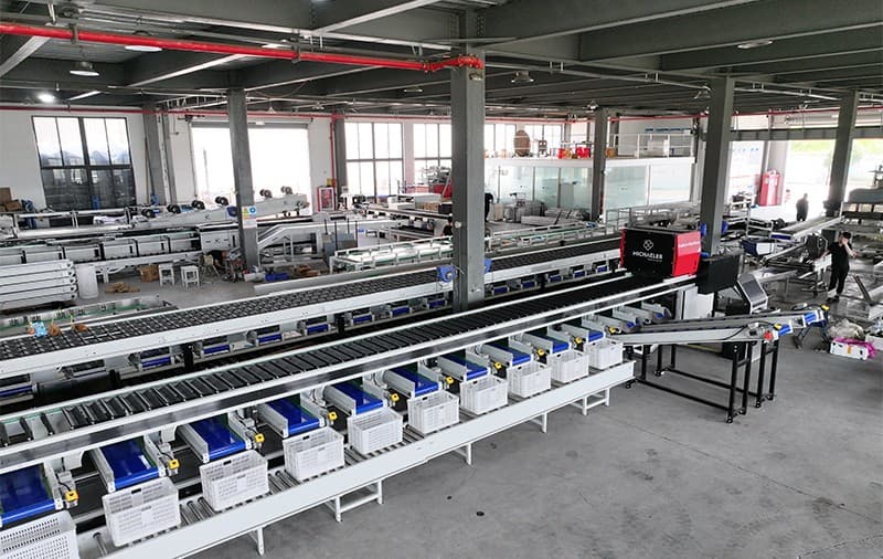 cucumber optical sorting machine.jpg